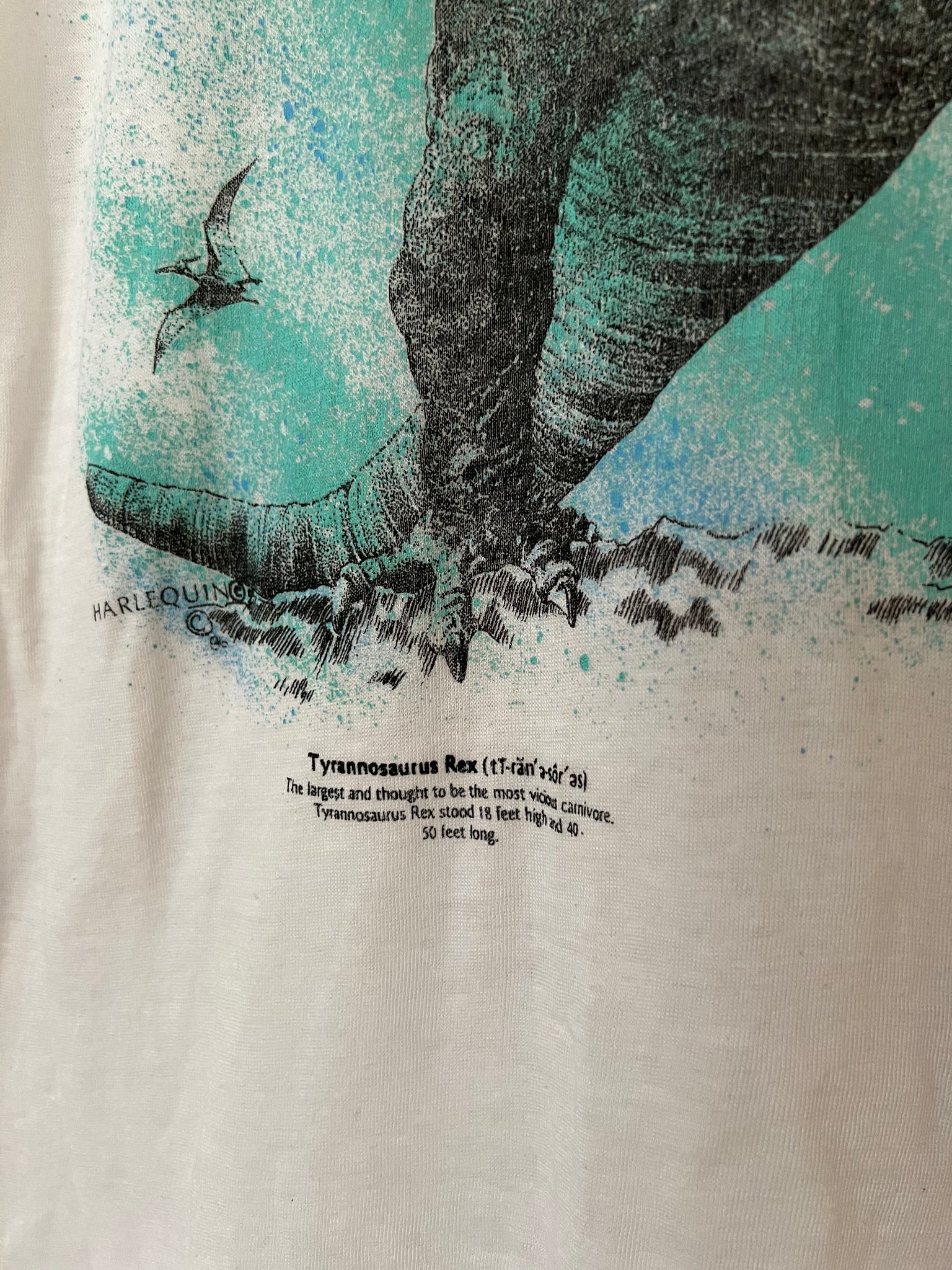 THIN VINTAGE DINOSAUR T-REX TEE