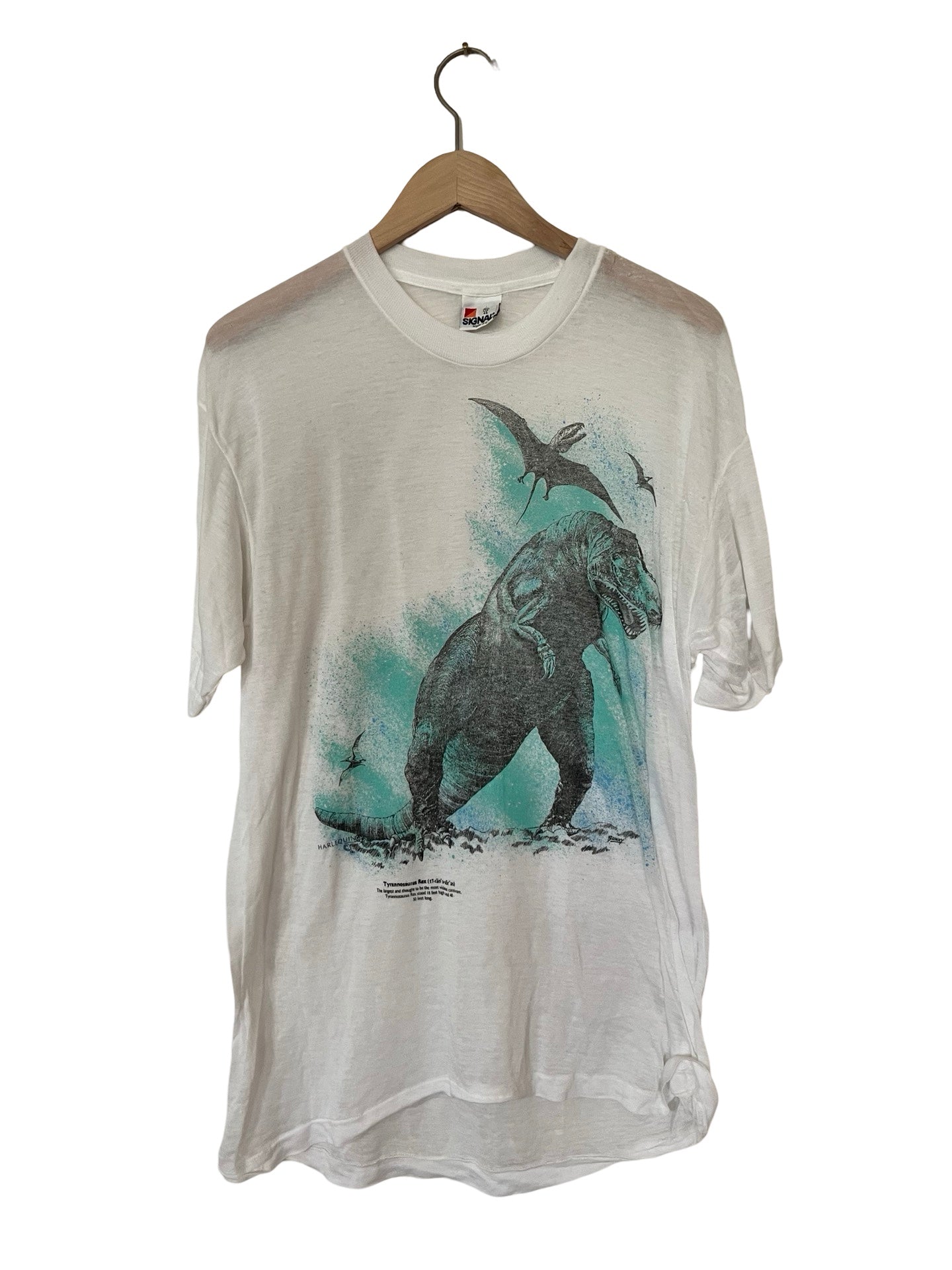 THIN VINTAGE DINOSAUR T-REX TEE